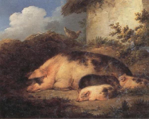 George Morland A Sow and Her Piglets china oil painting image